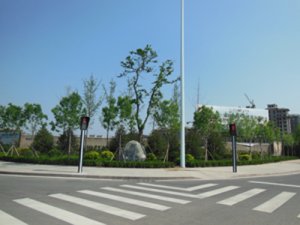 潍坊市乐川街道路绿化工程